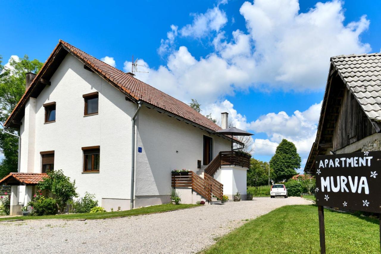 Apartment Murva Dreznik Grad Exterior photo